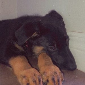 Meet your Posher, Brittany